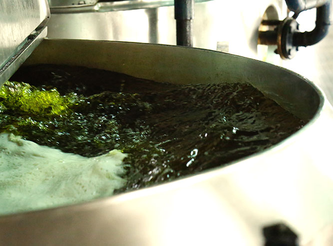 Fermentation