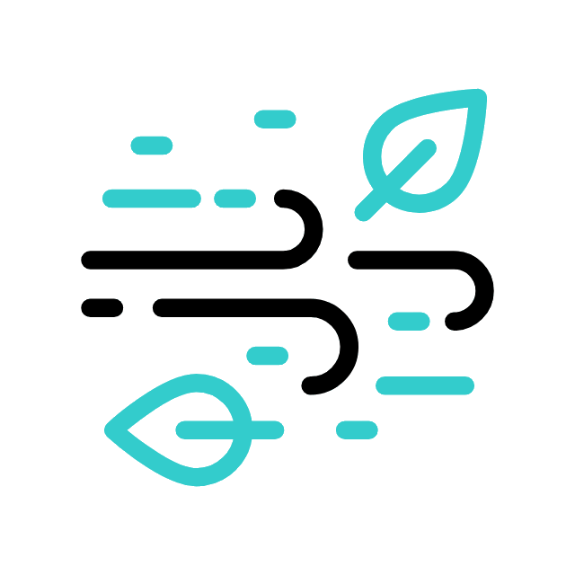 Decorative Icon 1